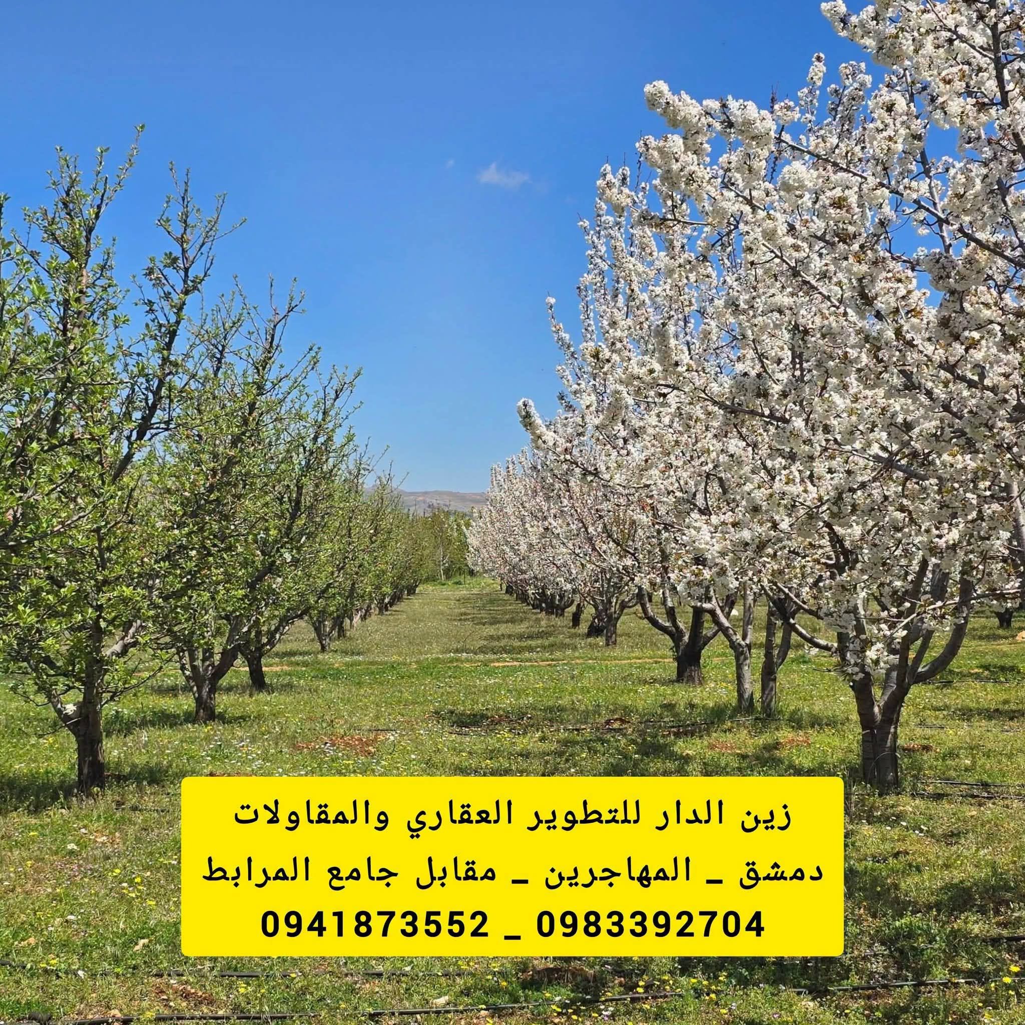 أرض 3000م داخل التنظيم للبيع في يعفور رأس العين - عرض 361