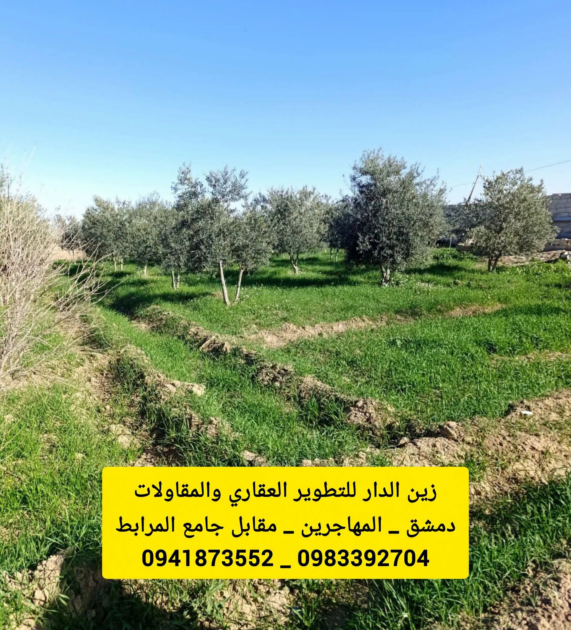 فيلا عضم 1000م مع مسبح للبيع في يعفور البلد - عرض 366